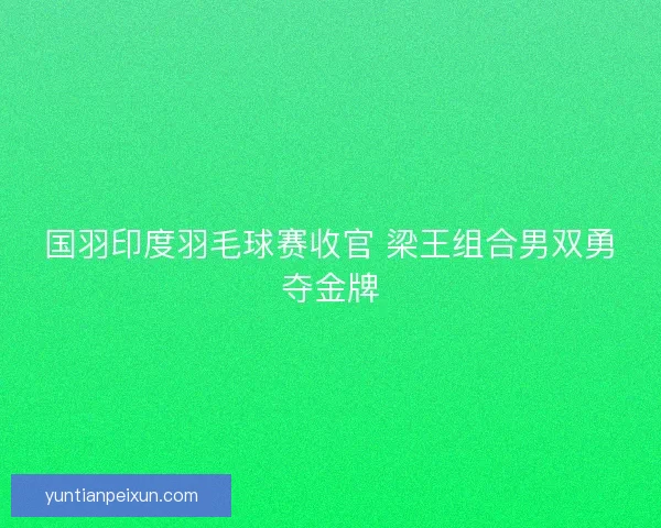 国羽印度羽毛球赛收官 梁王组合男双勇夺金牌